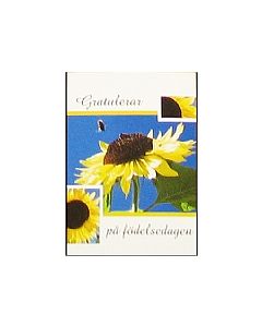 Post Card Happy Birthday