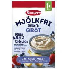 Semper Mjölkfri Fullkornsgröt Blåbär & Jordgubb - 12 Mån